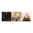 Elegant Decorative Canvas Painting Set (3 Pieces), Gold & Black, 11.8 x 11.8 inches Each | 50% Cotton / 50% Polyester with 100% Wooden Frames (Thickness: 0.8 inches) | Stunning Wall Art for Modern Home Décor