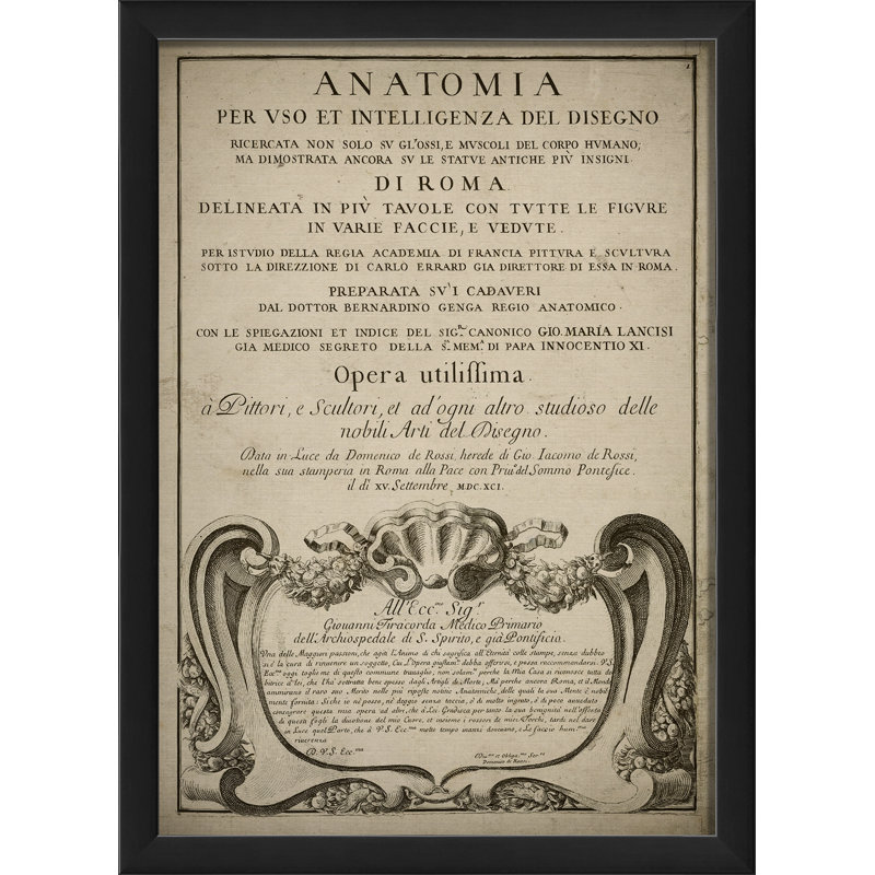 « anatomia », impression encadrée