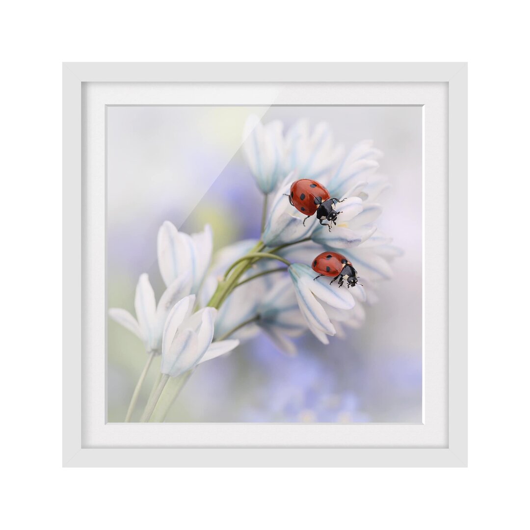 Gerahmter Kunstdruck Ladybird Couple