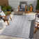 Mendota Indoor / Outdoor Rug