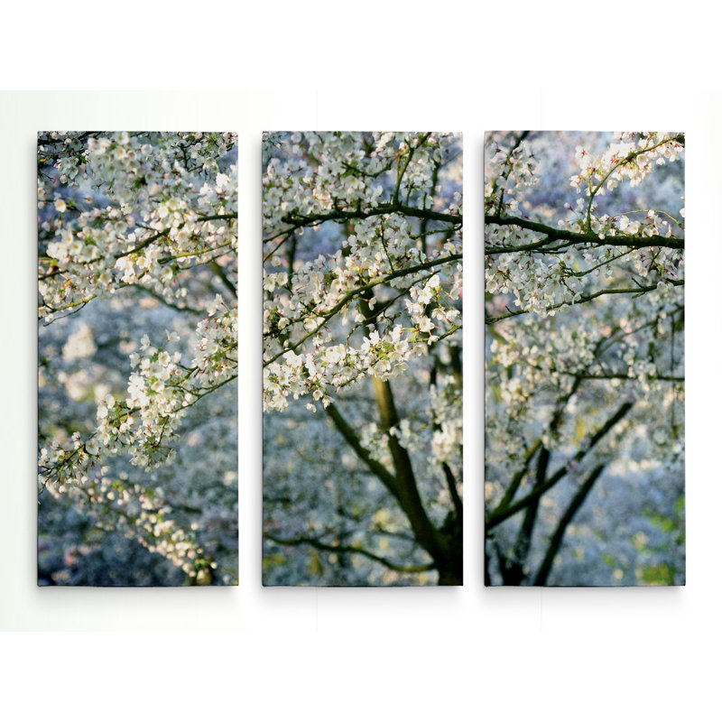 " In All Your Glory " 3 - Pieces, 40" H x 60" W x 1.5" D
