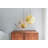 Chrona Dish 10V Brass-977230954-977230953