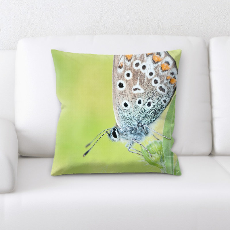 Coussin décoratif nature