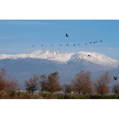 Mount Hermon, Israel by Boryak