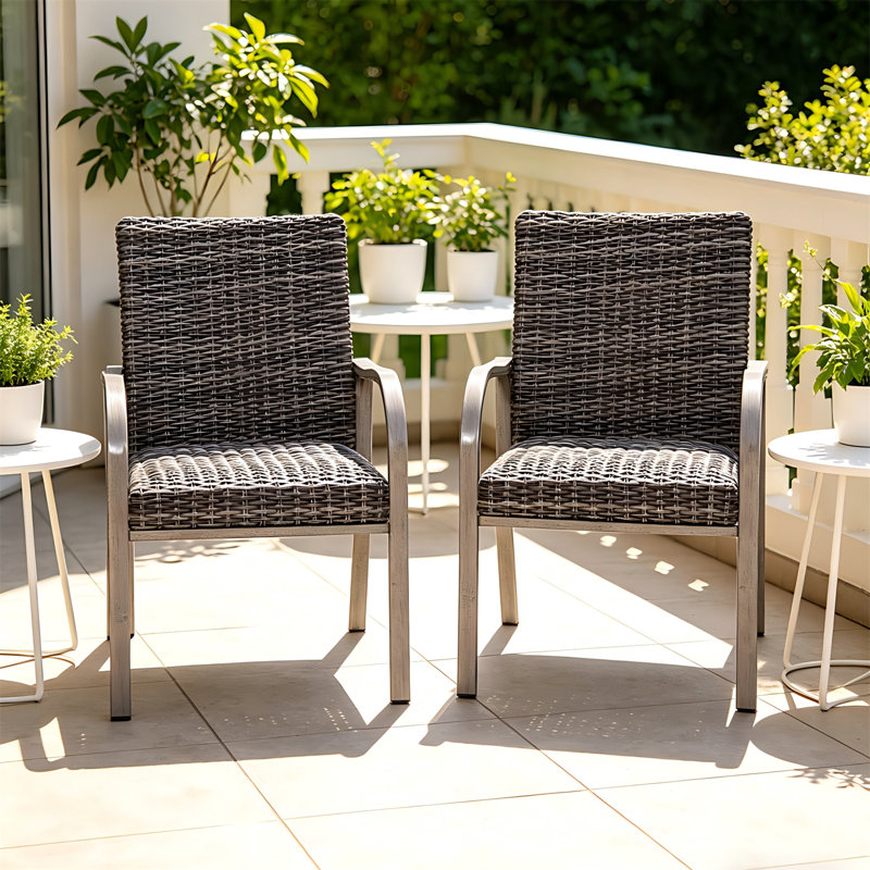 Ensemble de 2 chaises de salle à manger d'extérieur avec cadres peints à la main et sièges en coton lavé, sièges de patio toutes saisons pour le jardin, la cour et la piscine