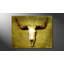 Buffalo Bull - Wrapped Canvas Print-1610353927-1610562701