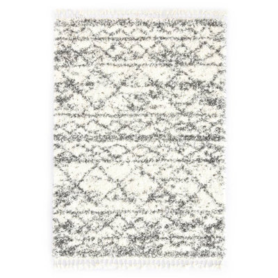 Garnica Chevron Hand Woven Shag Area Rug