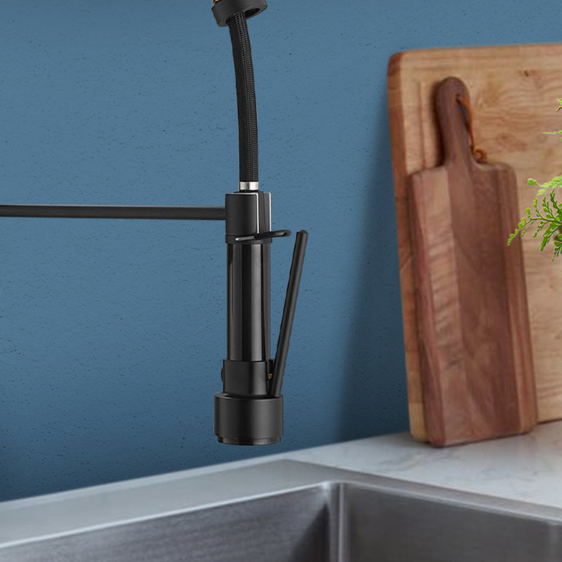 Topcraft Single Handle Pull Down Kitchen Faucet