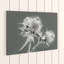 Thistle - Wrapped Canvas-19096601
