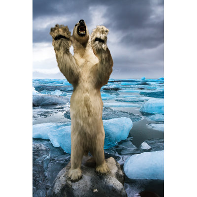 Ours polaire - photographie sur toile tendue