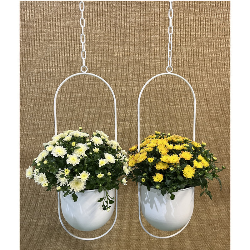 Ensemble de pots à fleurs suspendus en métal 2 pièces Zikomo, H 5,75 po x l 6,5 po