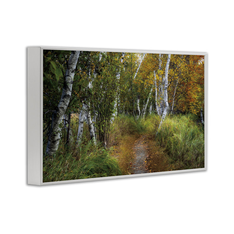 «Walk In The Hemlocks Forest», estampe numérique, design par D. Burt, H 16 po x l 24 po