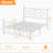 White Queen Size Metal Bed Frame with Headboard and Footboard, Victorian Butterfly Platform Bedframes, Heavy Duty Platform Storage Bed, Noise-Free Slatted Base-490440647-490440646
