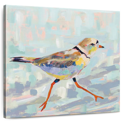 Crowle Coastal Plover I Neutral