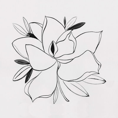 Magnolia Rendering - Wrapped Canvas Print