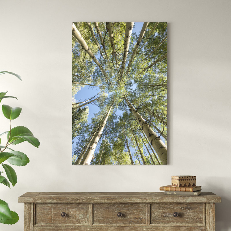 «Look Up» par Danny Head - impression sur toile tendue, H 48 po x l 32 po