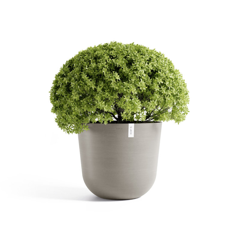 Pot Planter, 22.25" H x 25.5" W x 25.5" D, Beige