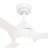 Surea 52'' Ceiling Fan with LED Lights-112461113