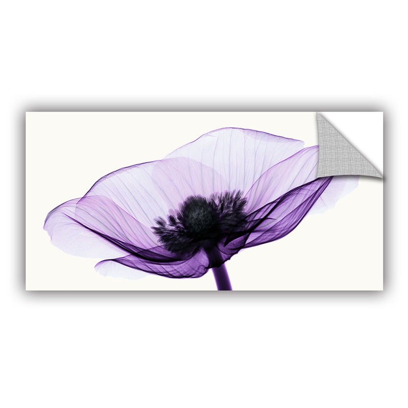 Graphic Art on Canvas, 12" H x 24" W x 2" D, Wrapped floater canvas