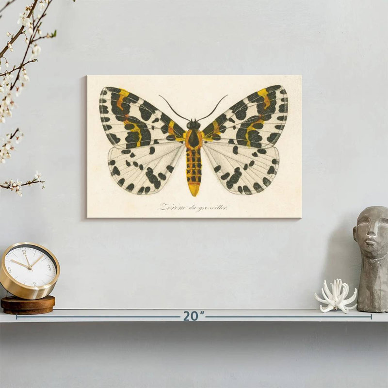 Brampt Natures Butterfly IV, 8" H x 12" W