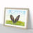 Ears of a Hare in the Grass - Picture Frame Graphic Art Print-56713355-56713356