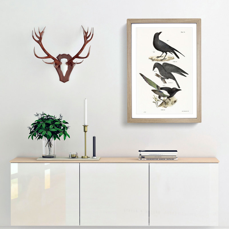 Raven, Crow and Magpie by J.E. De Kay - Framed Print, Oak Framed, 48cm H x 36cm W x 2cm D
