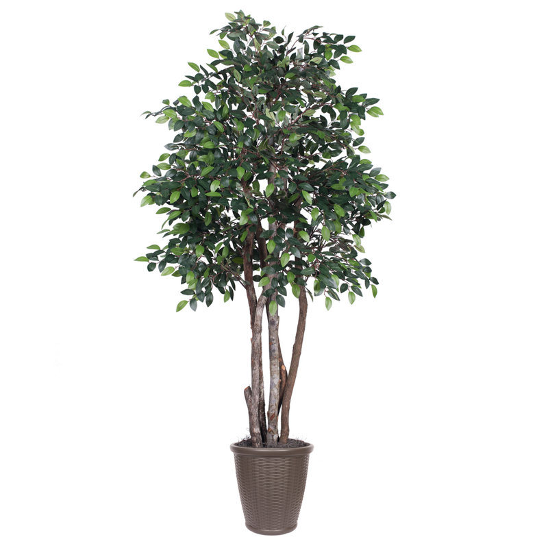 72'' Faux Tree in Pot, Brown