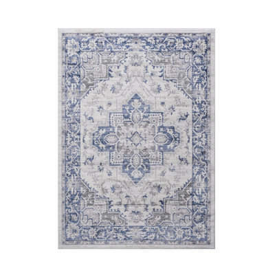 Collection Blue / Grey / Oriental Area Rug
