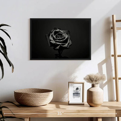 Black Rose