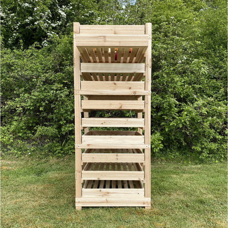 Whisman 60cm W Solid Wood Shelving Unit