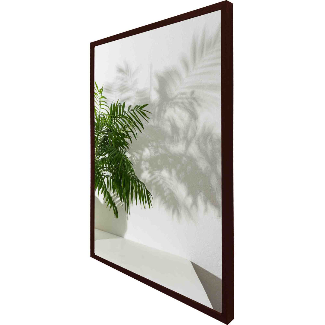 Hellertown Chamaedorea - Single Picture Frame Art Prints