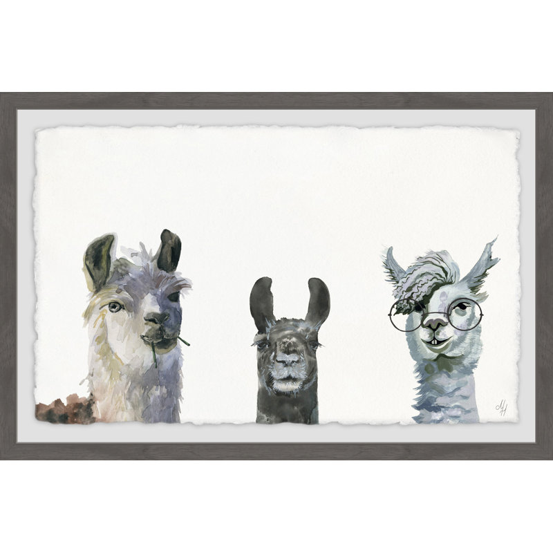 Art encadré Agawam Llama Squad, H 8 po x l 12 po, Cadre brun