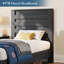 Lit plateforme simple Louby de 49 po Louby-766527148-783653489