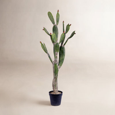 Faux Cactus Succulent in Pot