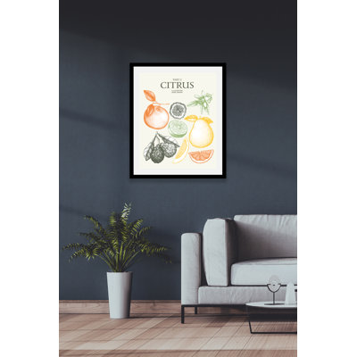Citrus - Single Picture Frame Print