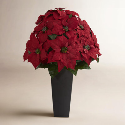 Poinsettia Floral Arrangement in Planter