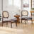 Rattan Backrest Upholstered Armchair-86885631