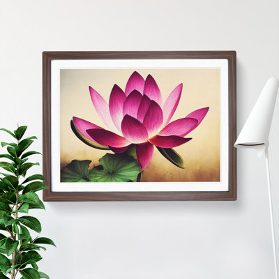 Unique Lotus Flower - Framed Print