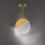 Crescent LED Pendant-133773711