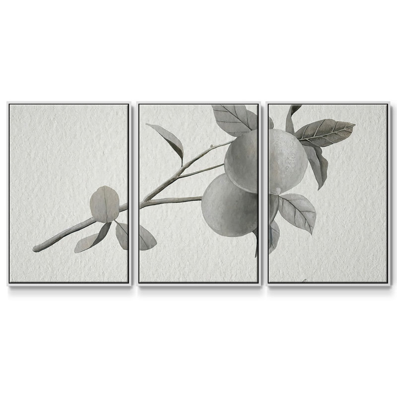 Limonero II 3 pièces, Blanc, H 24 po x l 48 po x P 2 po