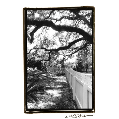 Summer Shade I - Wrapped Canvas Print