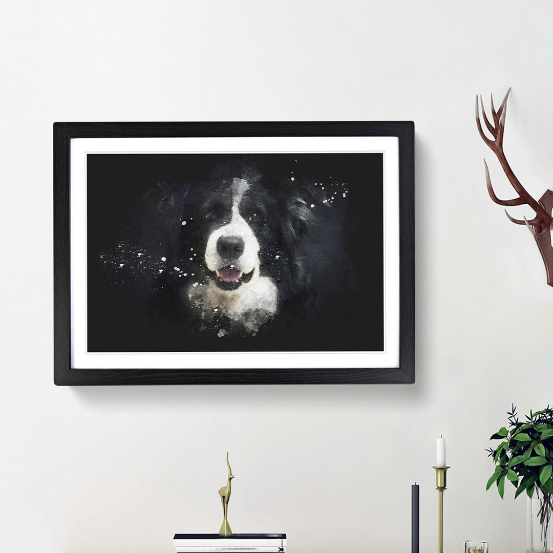 Portrait Of A Border Collie Dog - Single Picture Frame Print on MDF