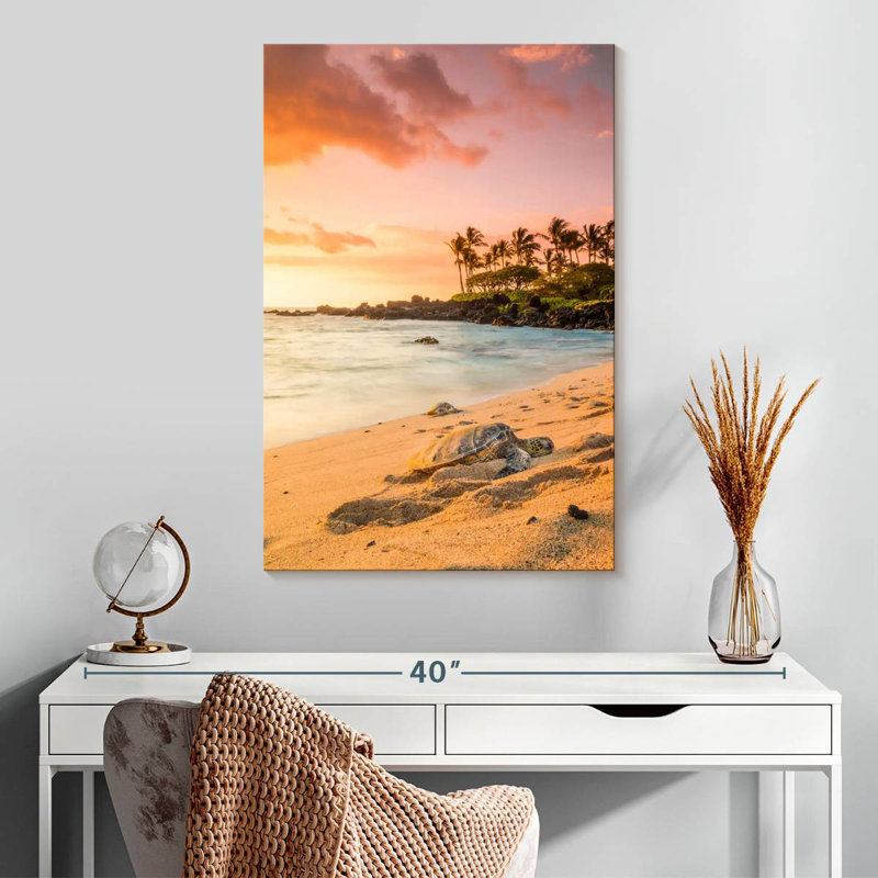 Tortue de plage Brampt Kukio, H 30 po x l 20 po