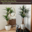 Pure Garden 51" Tropical Yucca Artificial Tree - Faux Plants Indoor and Outdoor Use with Natural Trunk and Planter