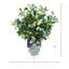 Budding Stems in Decorative Vase-1083971575