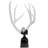 Antler Handmade Glass Decorative Bottles