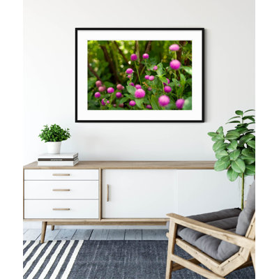 Shakespeare Garden Clover - Picture Frame Photograph on Paper