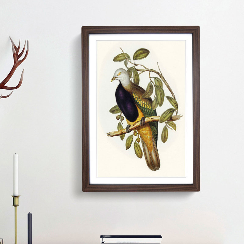 Magnificent Fruit Pigeons by Elizabeth Gould - Picture Frame Painting Print, 36cm H x 27cm W x 2cm D, Walnut Framed