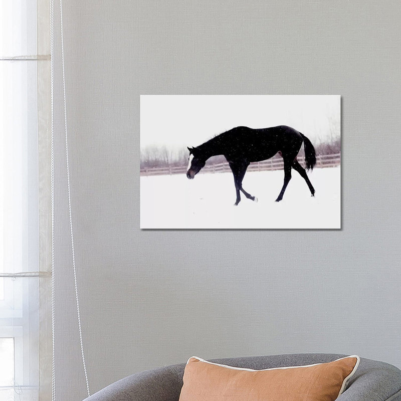 Black Horse In The Snow by Chelsea Victoria - Wrapped Canvas Print, 66.04 cm H x 45.72 cm W x 1.91 cm D