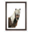 Icelandic Horse - Picture Frame Painting Print-55579369-55579368